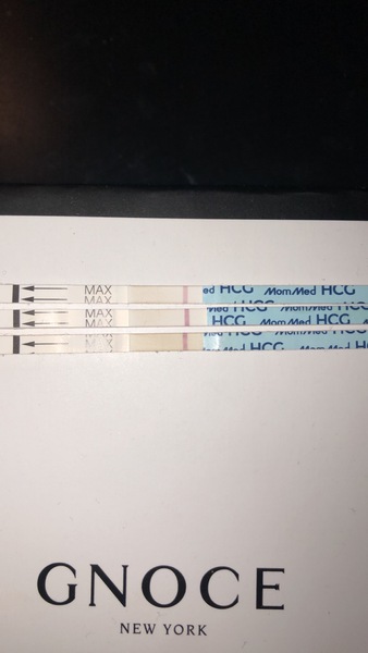 Are these tests faint positive or evaporation lines?