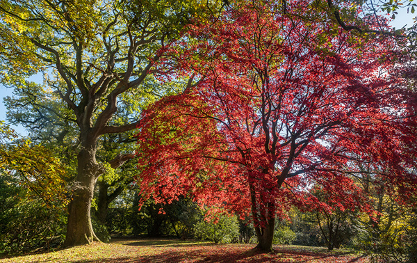 Things you love about Autumn