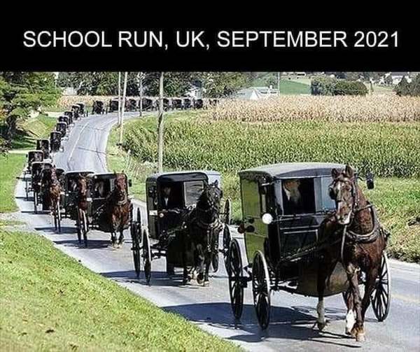 Brexit Megathread - Part 1 because it's not over by a long shot