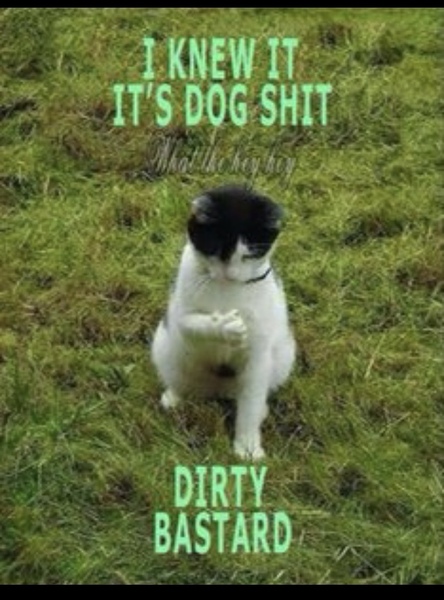 Funny Meme's