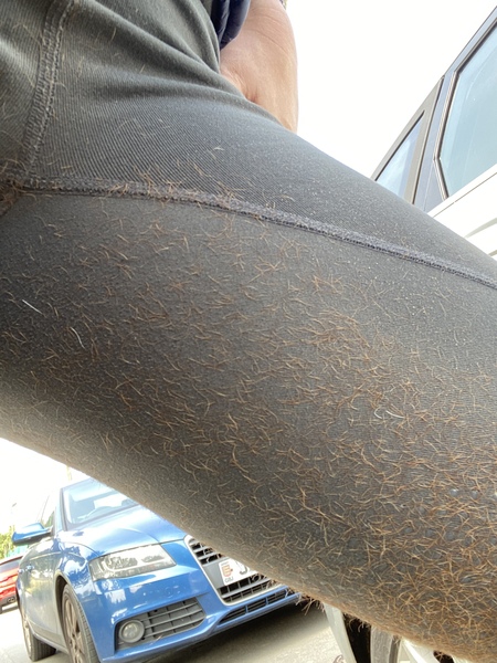 Savvy savers sashaying through September