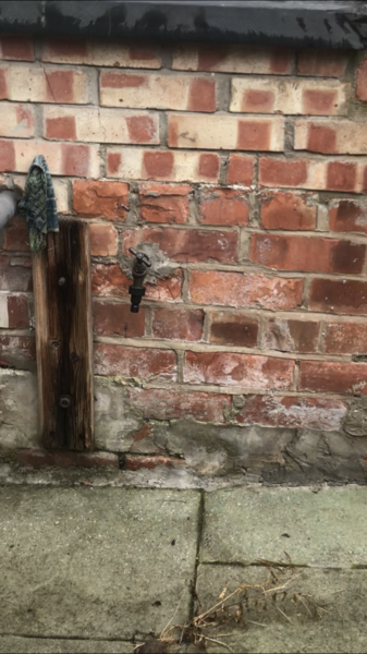How bad is the situation with this brickwork?