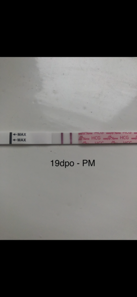19 dpo tests please read