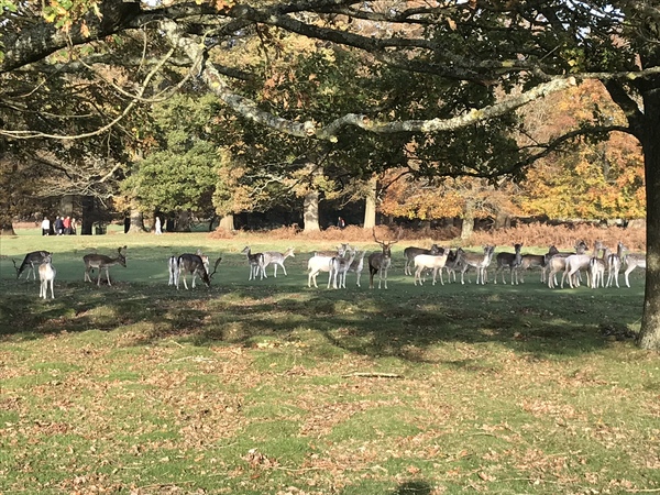 What’s it like to live in Kent?