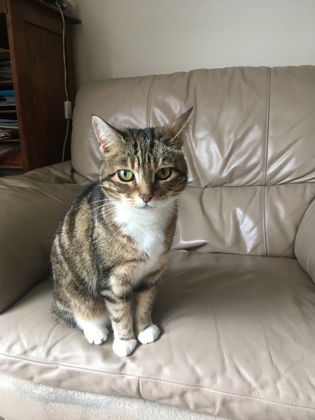 Beauty Advent Calendars 2021 - contains spoilers *titled by MNHQ at OP's request*