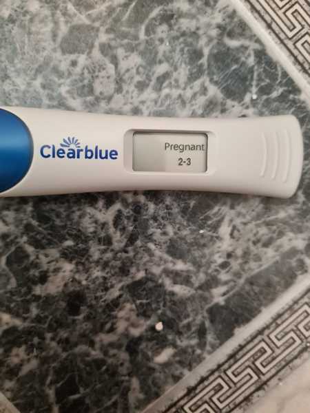 🦕 Catching up - ttc after miscarriage part 7 🦕
