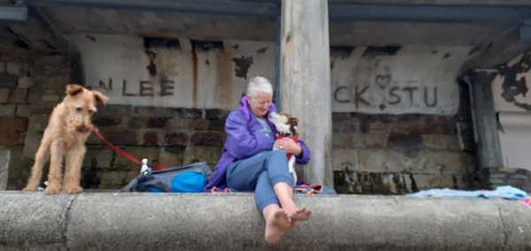 How common is it to regret getting a dog?