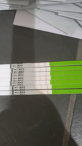 Anyone else ttc #2?