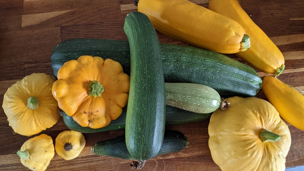 Allotment/Veg patch Thread 17 - onwards and upwards