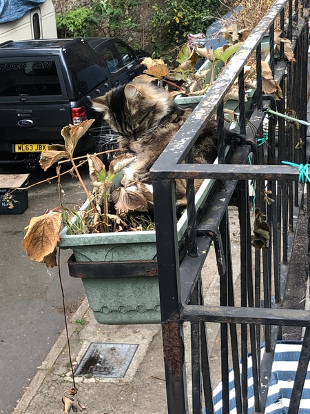 19 year old daughter not speaking to me because of boyfriend situation