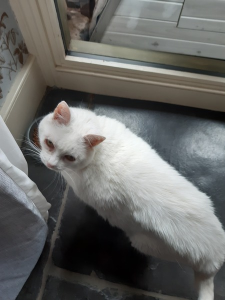What's your DCat up to today? (Thread 9)