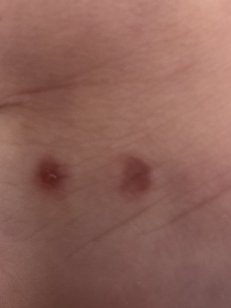 Anyone know what these are?