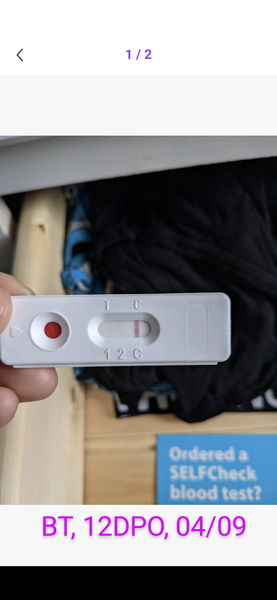 Help Help Help: Line Eyes