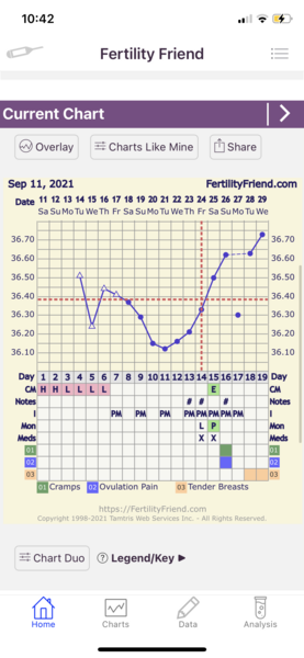 Have I ovulated?
