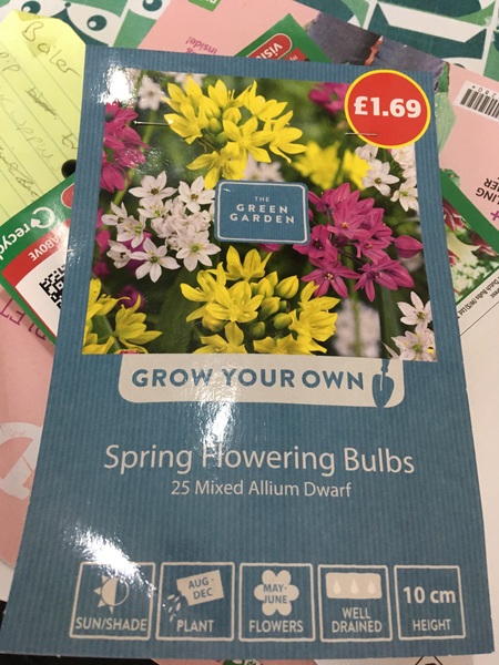 September in the garden