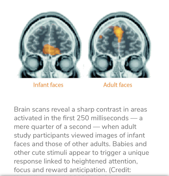 Stranger touched baby’s face - AIBU?