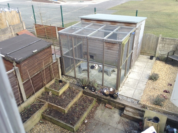 Rabbits outside - do they really dig out of their homes?