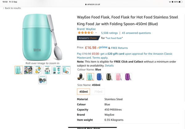 Aibu to ask how you keep pack lunch hot for school lunch?