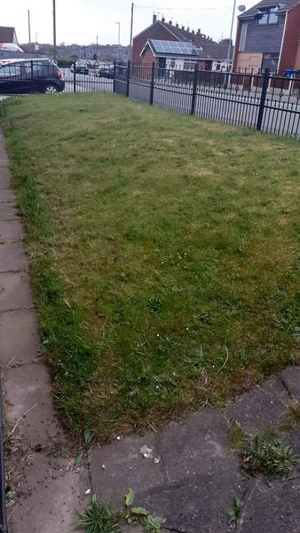 Cost of grass cut?