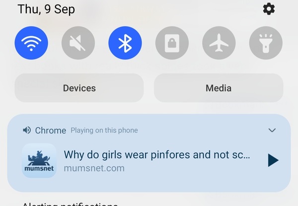 Wtf MN 'There's a Dog in the House' music no video