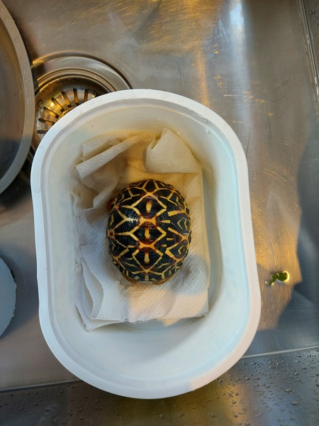 ADs don't want your freedom, ADs don't want to play around