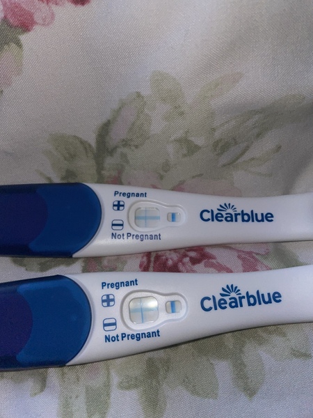 Evap line or pregnant?