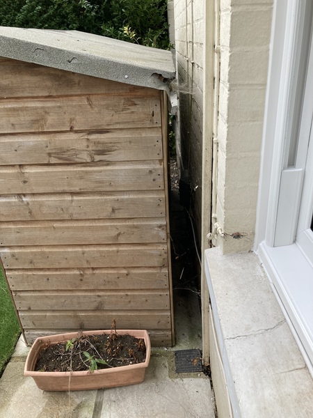 Advice needed for dealing with damp/mould issues