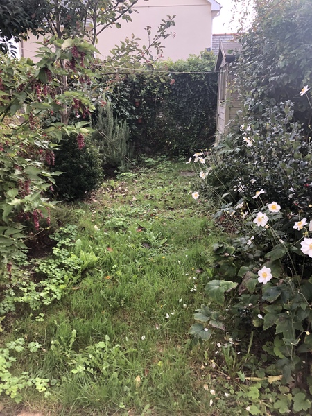 Turning around my garden