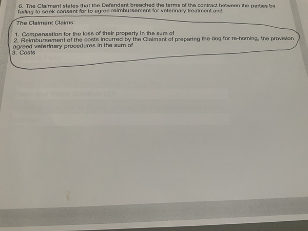 I fostered an elderly rescue dog and the rescue have sent me a £3k county court form?