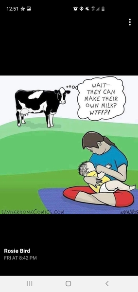 Any1 notice others are uncomfortable with breastfeeding toddlers?