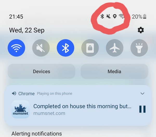 Wtf MN 'There's a Dog in the House' music no video