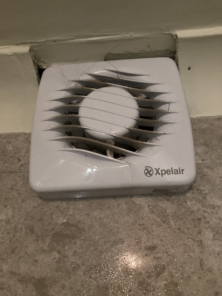 Advice needed for dealing with damp/mould issues