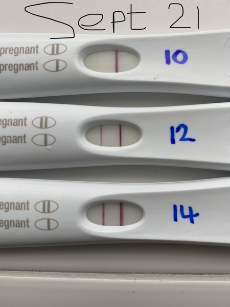 Trying to conceive over 40 part 2