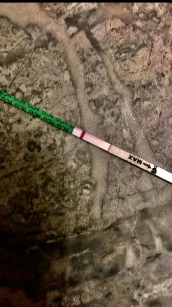 First vue cheapie - positive ?!