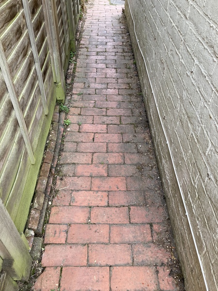 Advice needed for dealing with damp/mould issues