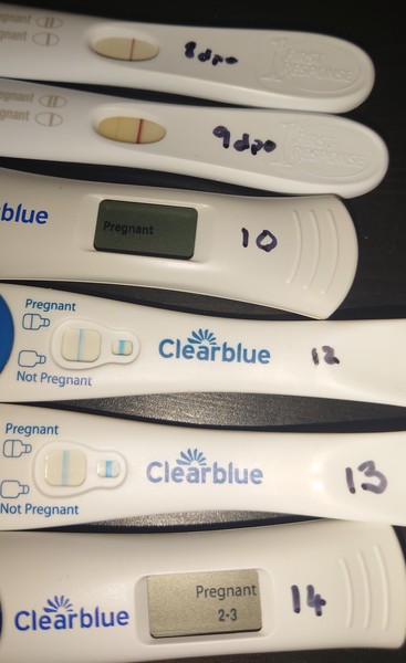 Due June 2022