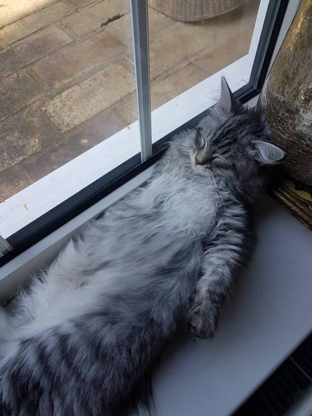 Plans for the day