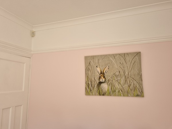 Pink Paint