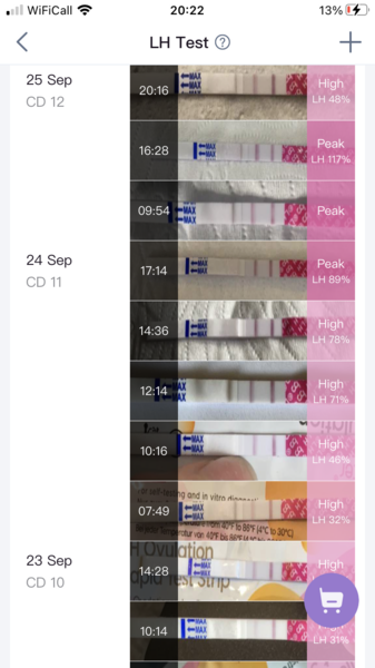 Month 12, 6 DPO, fed up and loosing hope