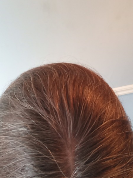 Highlights/lowlight/other? Advice on my hair please!