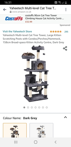 cat tower for top floor flat?