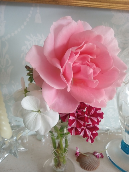 ADs don't want your freedom, ADs don't want to play around