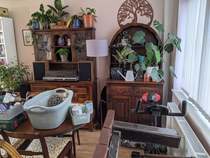 To think my house is too bloody cramped to WFH