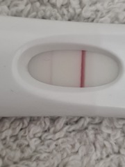 TTC bus 🚌 47 for all them odd b*tches who DON’T ovulate on CD14 🍳