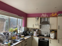 Pink Paint