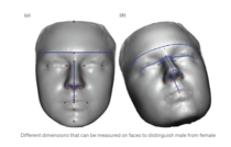 Posie Parker's latest - Glasgow