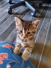 New arrivals (with photos)