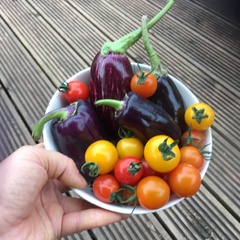 Show Us Your Pictures: 5 Alive
