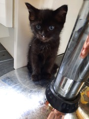 New arrivals (with photos)