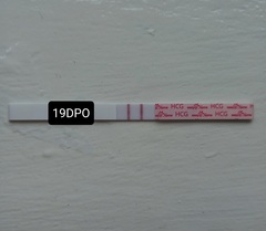 19 dpo tests please read